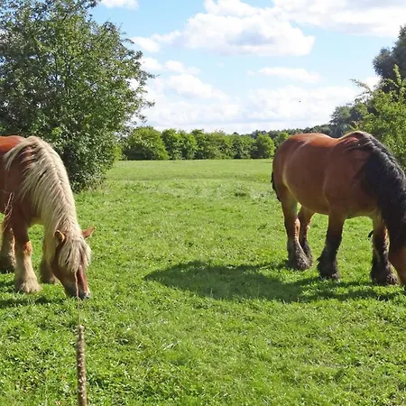 Wifi, Animaux Ok, - 4 Pers. - Fr-1-510-254 *